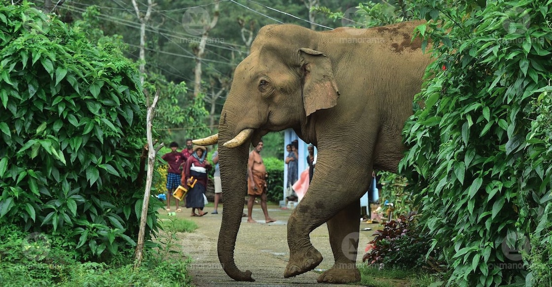 Representational image. File/ Manorama. 