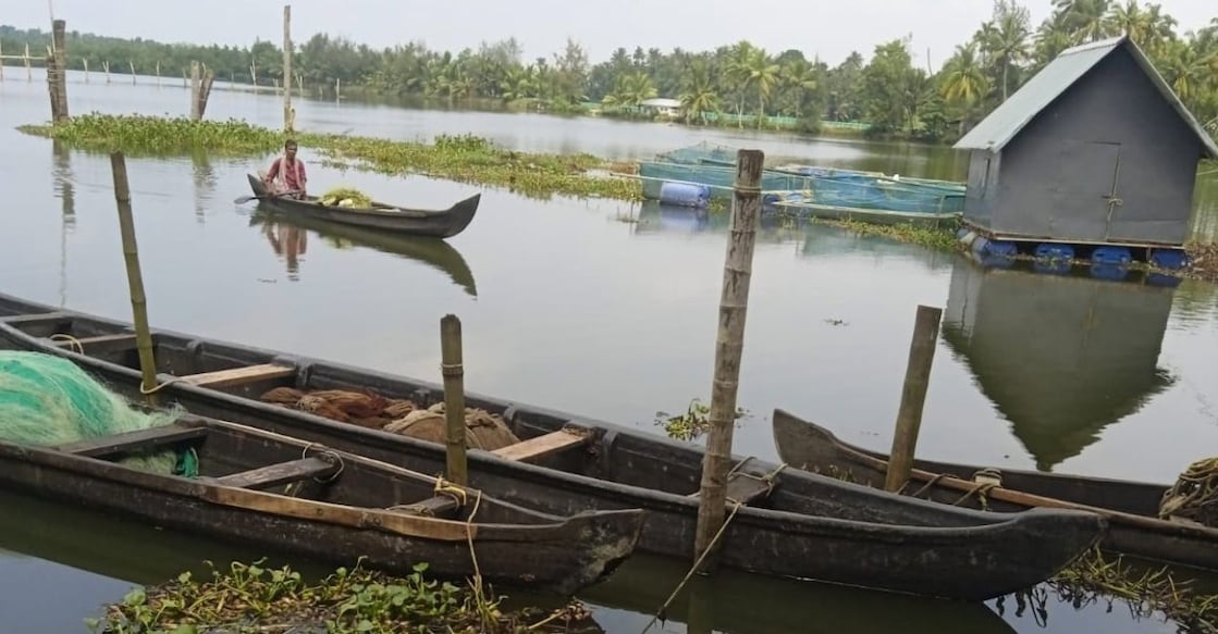 Fishermen at work in Kodungallur amid mounting challenges to their livelihood. Photo: Special Arrangement.