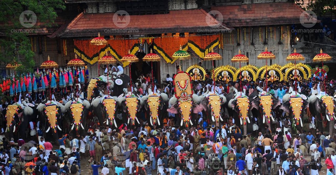 Elephants paraded at Thrissur Pooram. Photo: Manorama Archives