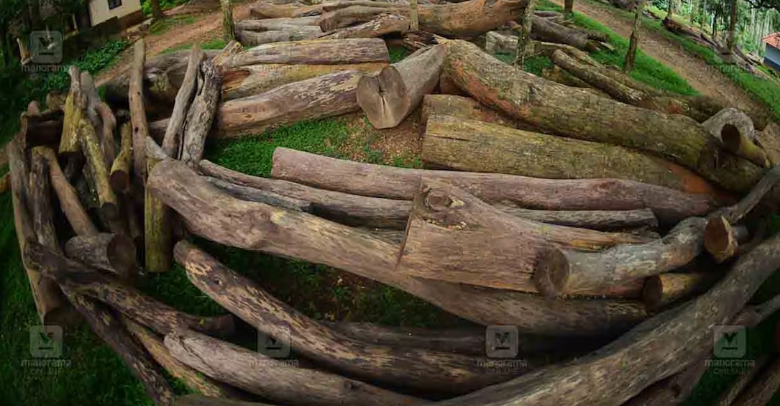 Representational Image. Photo: File/Manorama