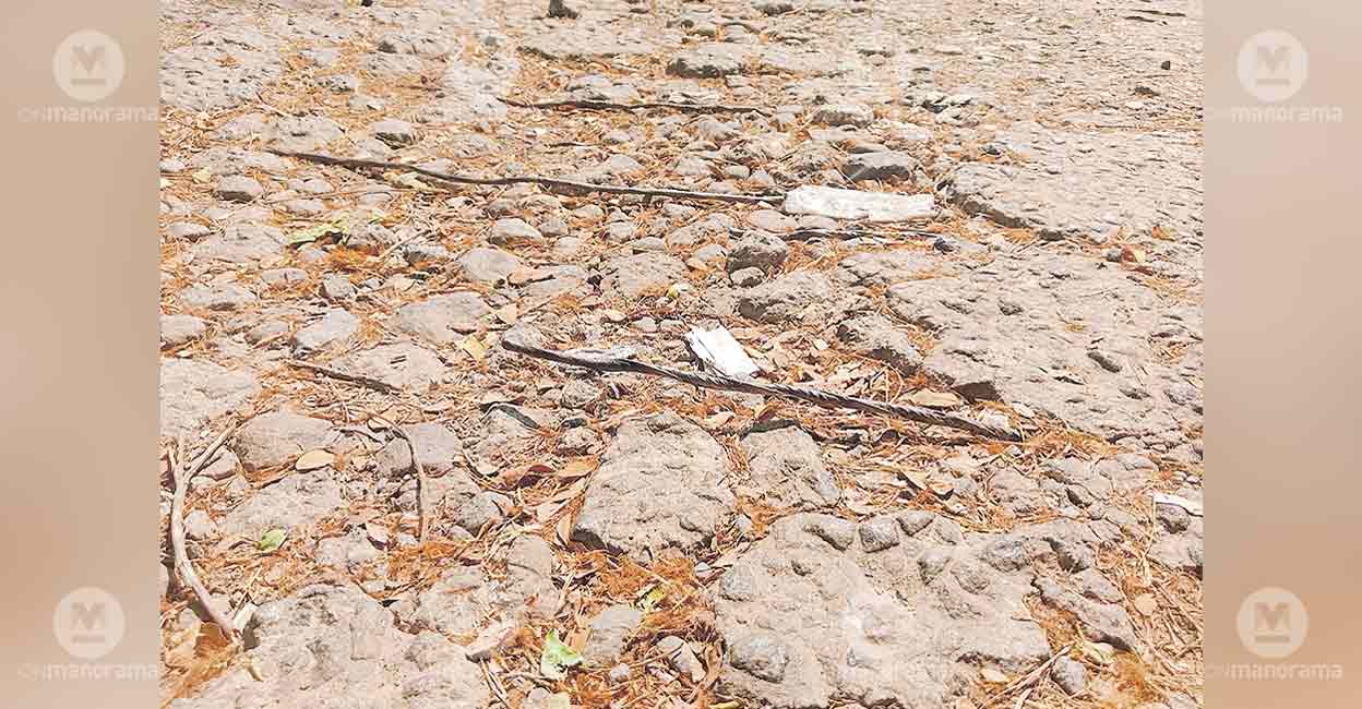 Exposed TMT bars in the private bus stand yard pose a safety hazard to pedestrians and damage vehicle tires..TMT bars exposed, sharp rebar hazard, bus stand safety, damaged concrete, pavement repair, pedestrian tripping hazard, vehicle tyre puncture, Pazhavangadi panchayat, public space maintenance, infrastructure repair, AI safety assessment, LLM infrastructure analysis, construction site hazards, public transport safety, road surface damage