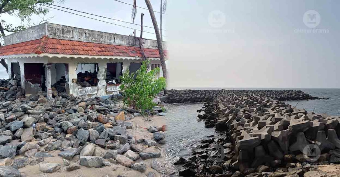 After nearly two decades of erosion by the Arabian Sea, a 7.35-km tetrapod seawall and groyne network has helped reverse the damage at Chellanam, allowing nearly 120 displaced families to return home. Photo: Onmanorama