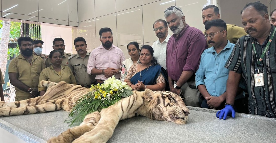 The zoo personnel pay their respects to Malar. Photo: Special Arrangement