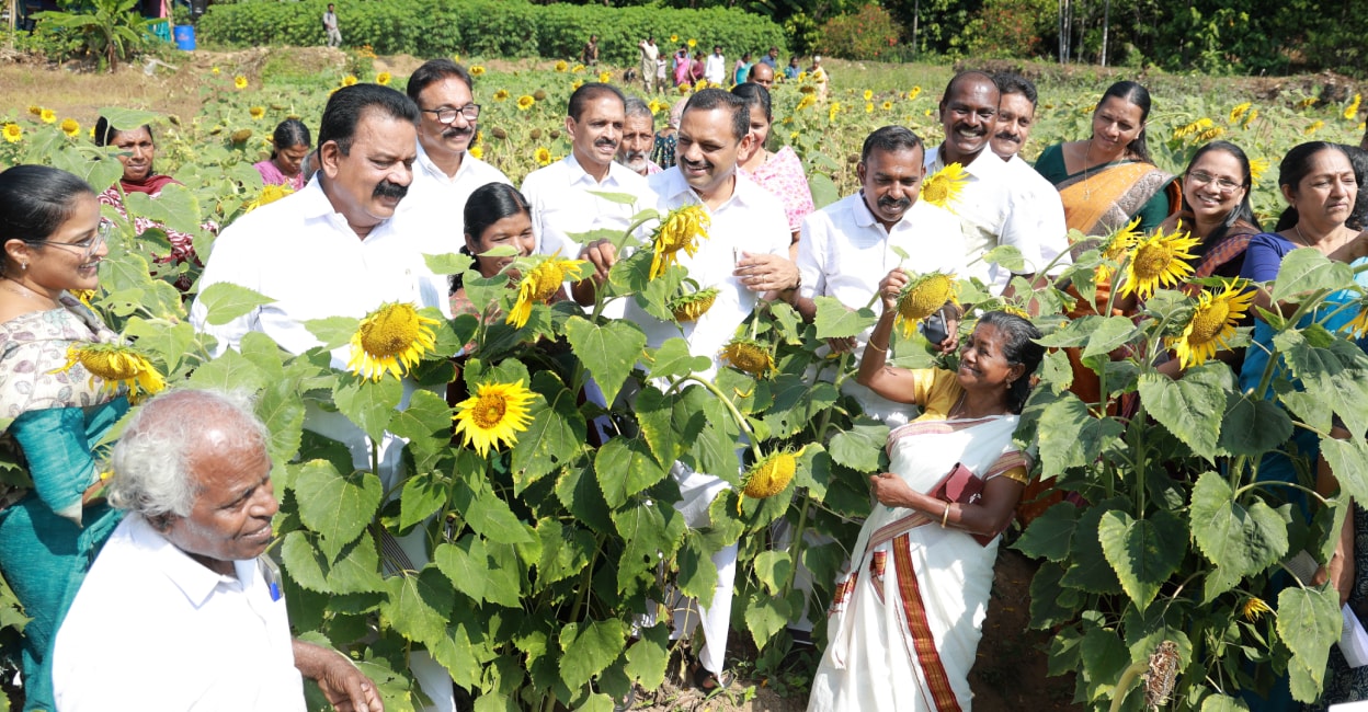 Thirteen years after landslide, Idukki villagers bring farmland back to life