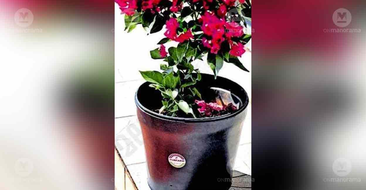 Kottayam's Rubfarm launches rubber grow bags to boost farmers’ income