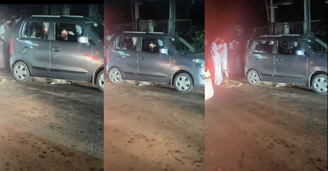 wild-boar-under-scar