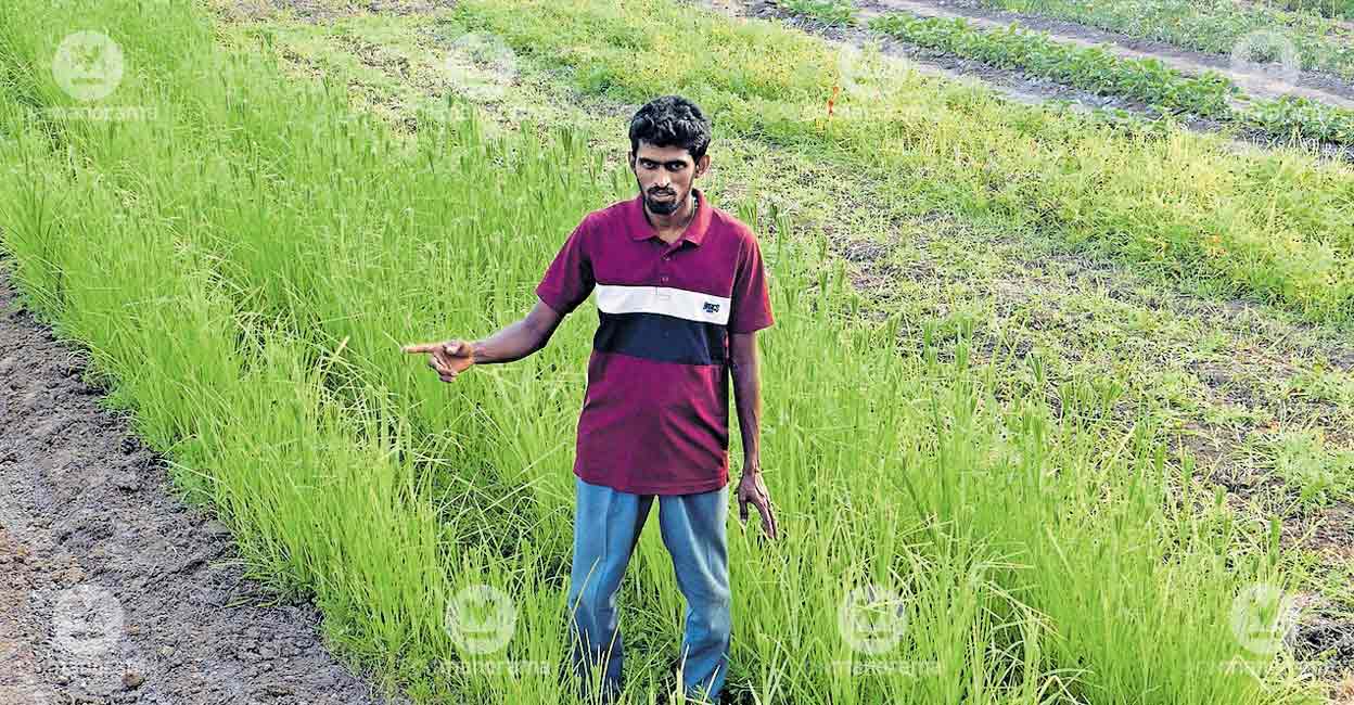 How Smart Farming and Innovative Marketing Help a Young F...