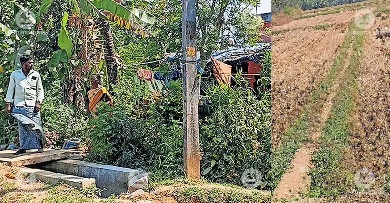 Scheduled Caste Families in Thrissur's Kozhippadam Face G...