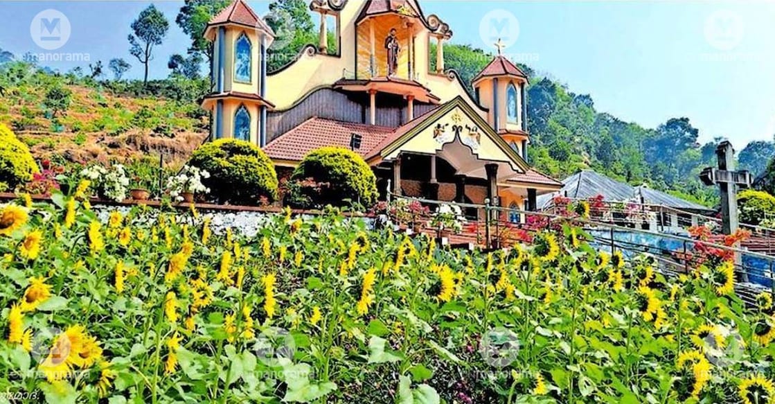 The floral bloom at the premises of St Francis of Assisi Church, Machiplavu.
