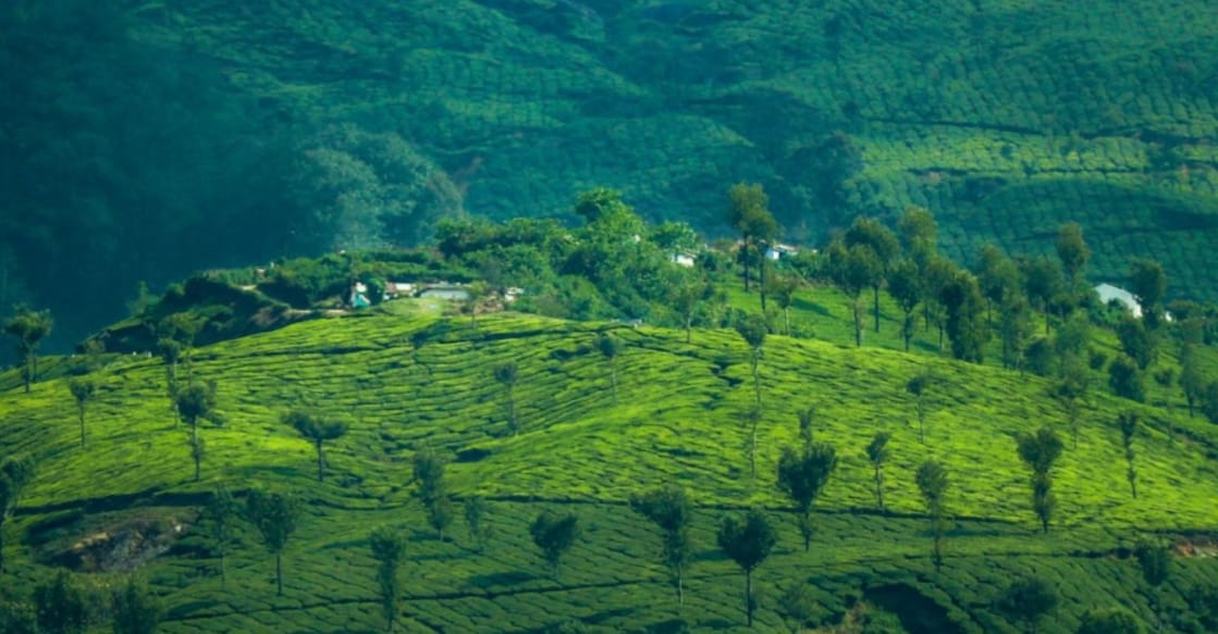 The charter places particular emphasis on protecting the Western Ghats. Photo: Screengrab/KIFA