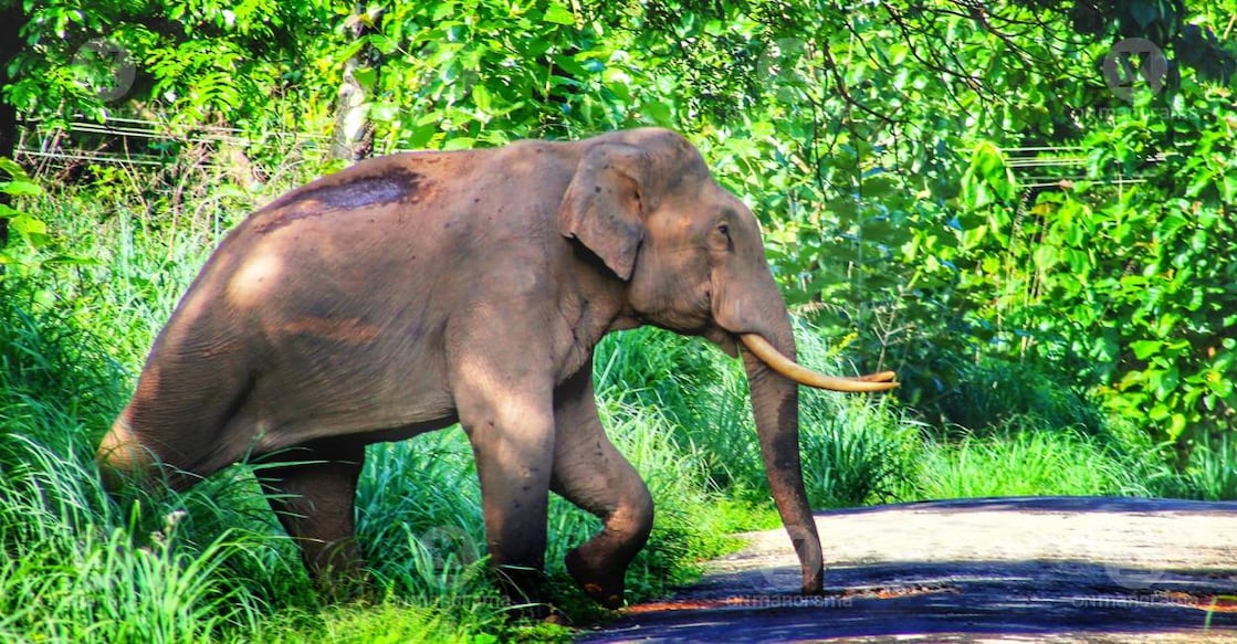 Representational Image: Manorama Archives