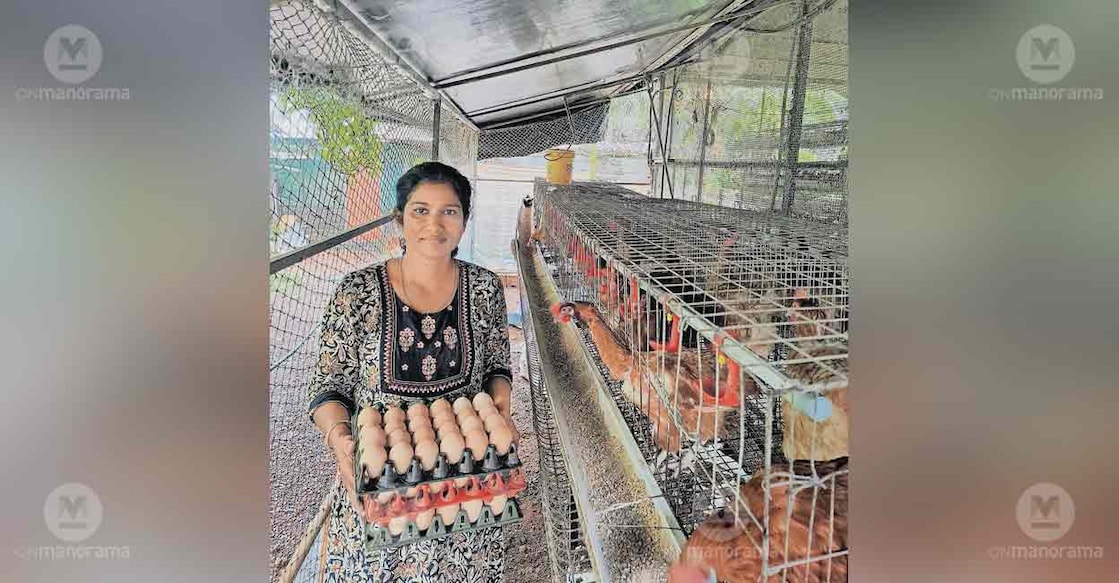 simi-kv-poultry-farming