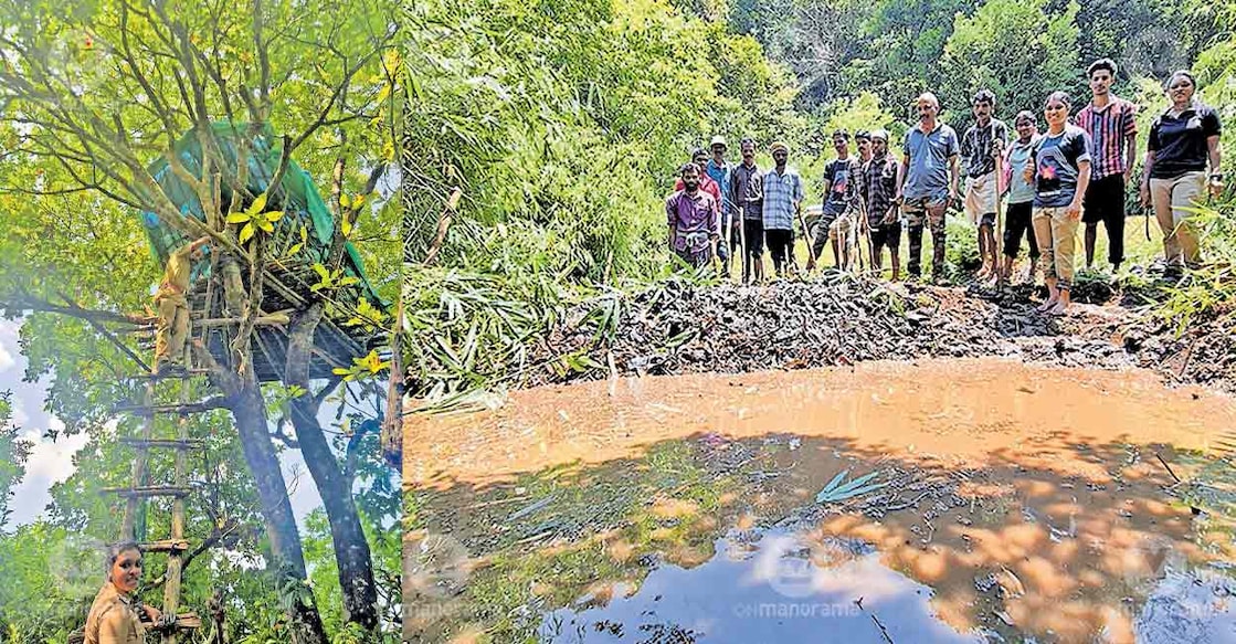 wildlife-forest-department