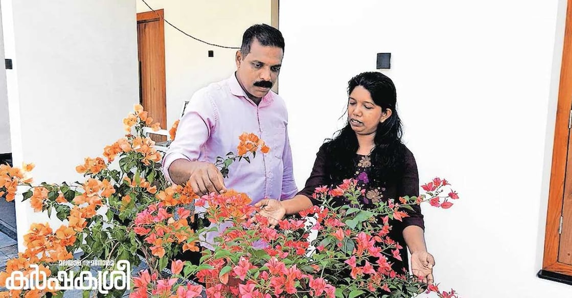 Siji (L) and Shyama with their bougainvillea. Photo: Karshakasree
