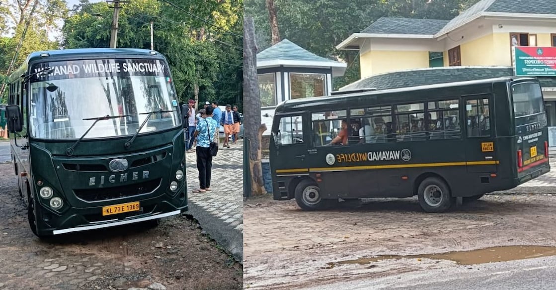The jungle safari buses of the Wayanad Wildlife Sanctuary. Photo: Special arrangement