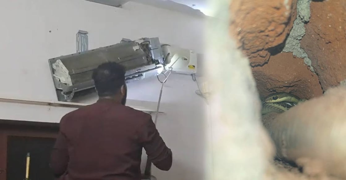 1) Gautham during the rescue, 2) A snake found inside the hole. Photos: Special Arrangement. 