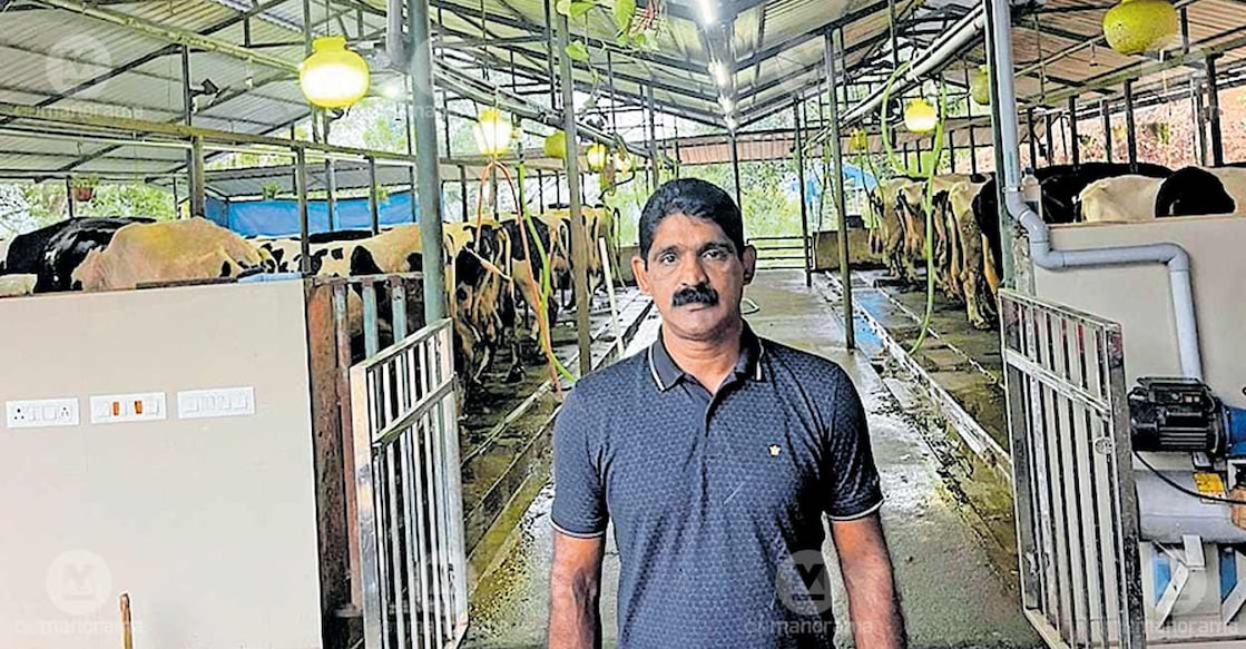 Thankachan in his farm. Photo: Special arrangement
