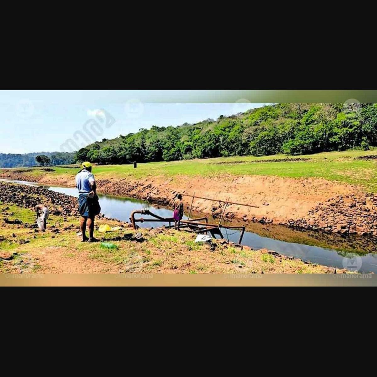 Kumily, Chakkupallam staring at water shortage as level in Thekkady lake dips daily