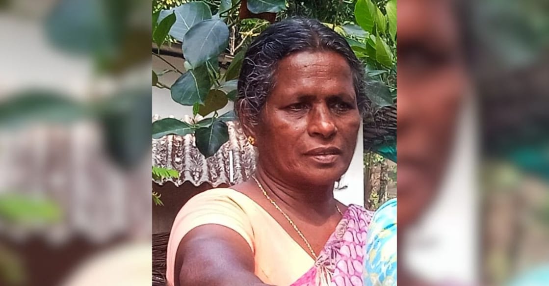 saramma-idukki-accident - 1