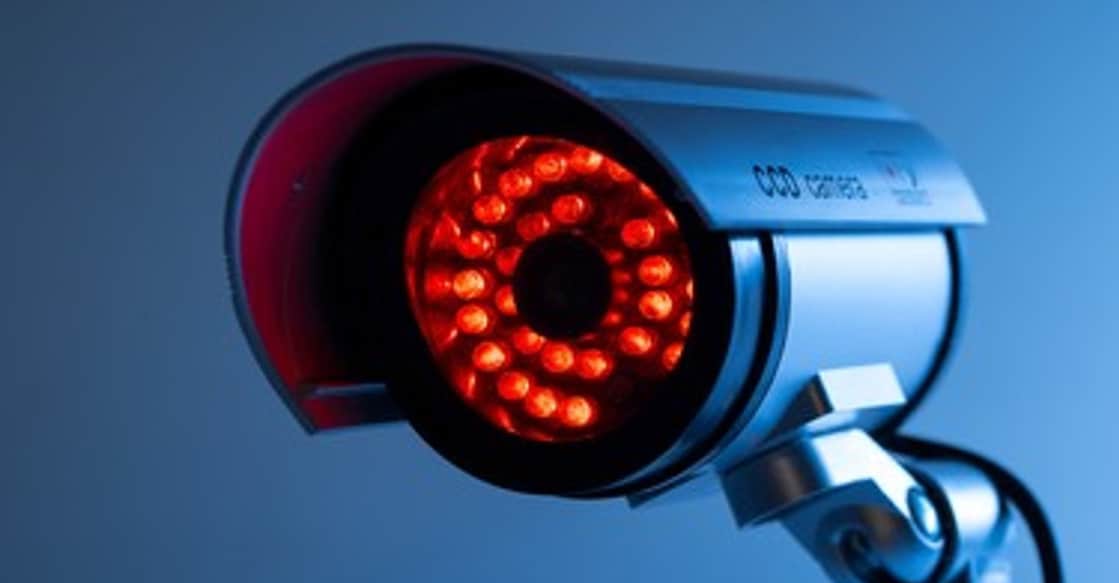 Photo: alice-photo/ Shutterstock