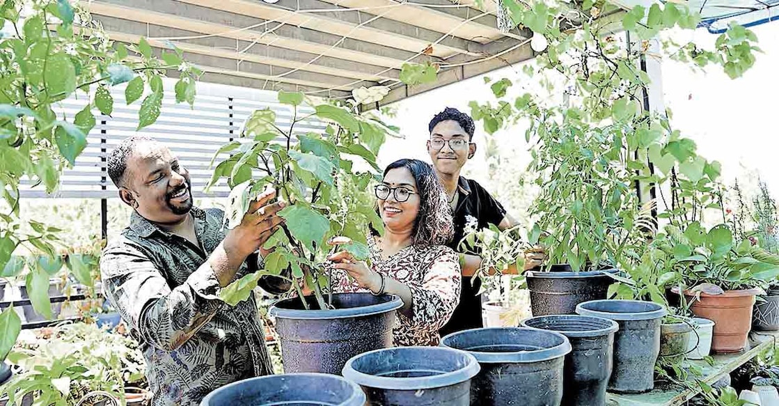 doctor-couple-farming