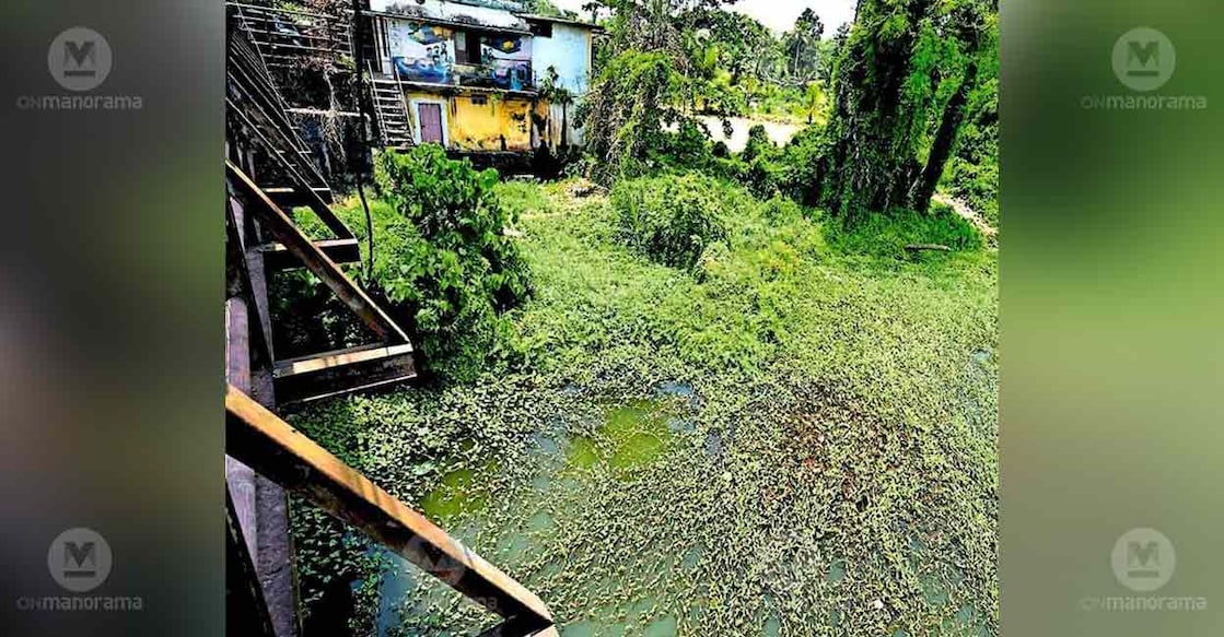 polluted-river-water