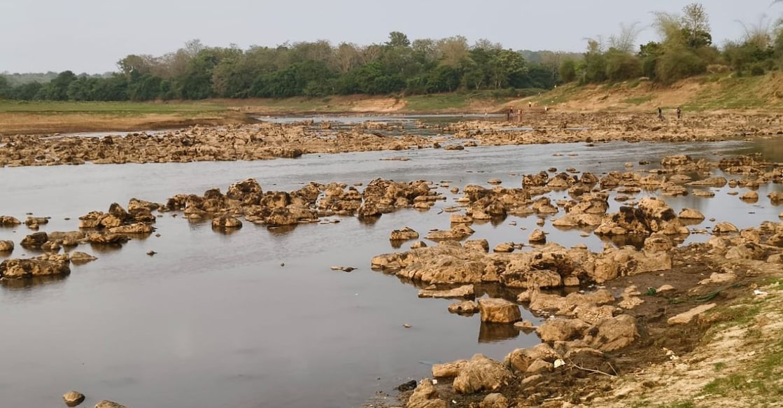 The exposed riverbed of the Kabani River in Wayanad. Photo: Special arrangement