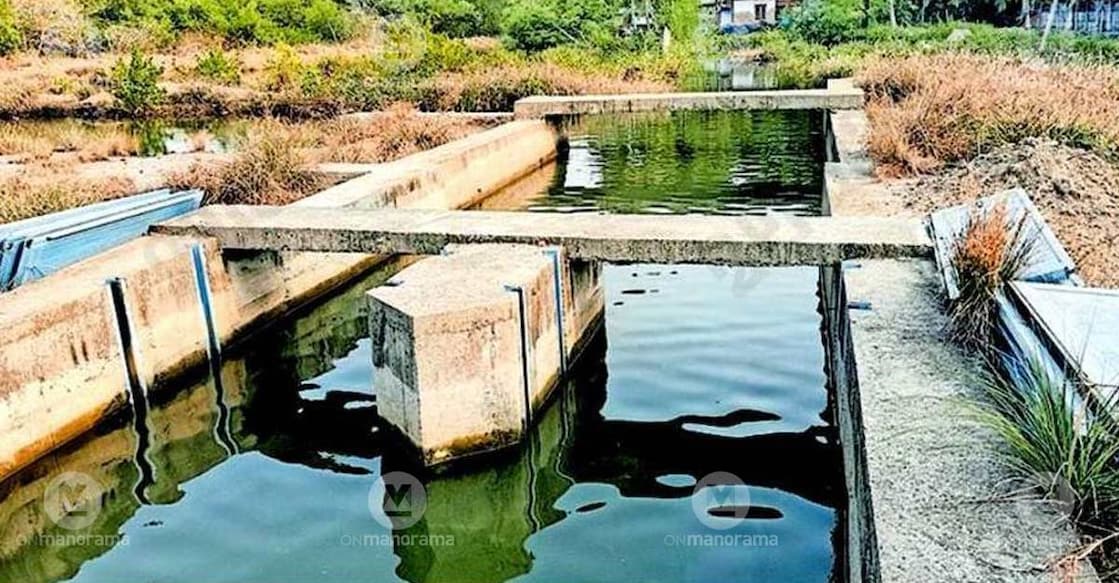 The Attumkunnatthu regulator at Mannur Vadakkumpad remains unsealed in the absence of a bund, triggering seawater intrusion into nearby residential areas. Photo: Special arrangement