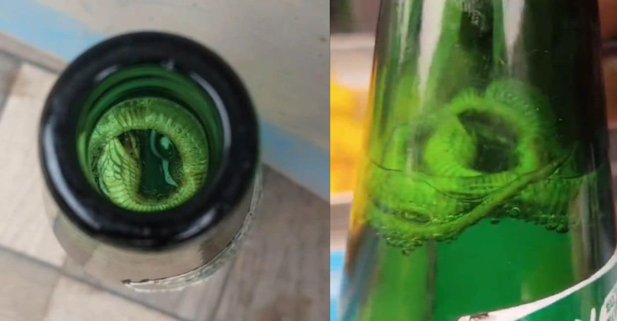 Dead snake found in bottled drink in Thrissur; manufacturing unit shut down
