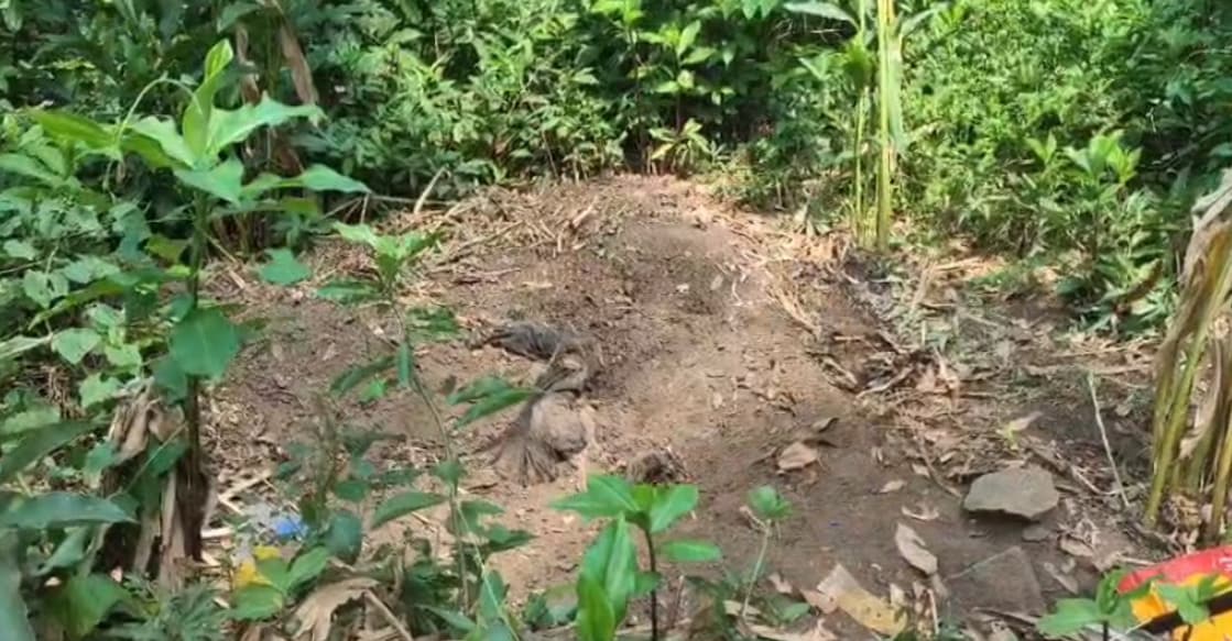 The spot where the buried body was discovered. Photo: Special Arrangement