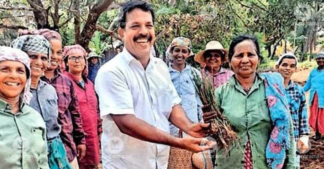 Workers under the employment scheme handing over Pannikka, unearthed from the Pekadam paddy fields in Trikkaripur, to K  V Krishnaprasad Vaidyar. Photo: Special arrangement
