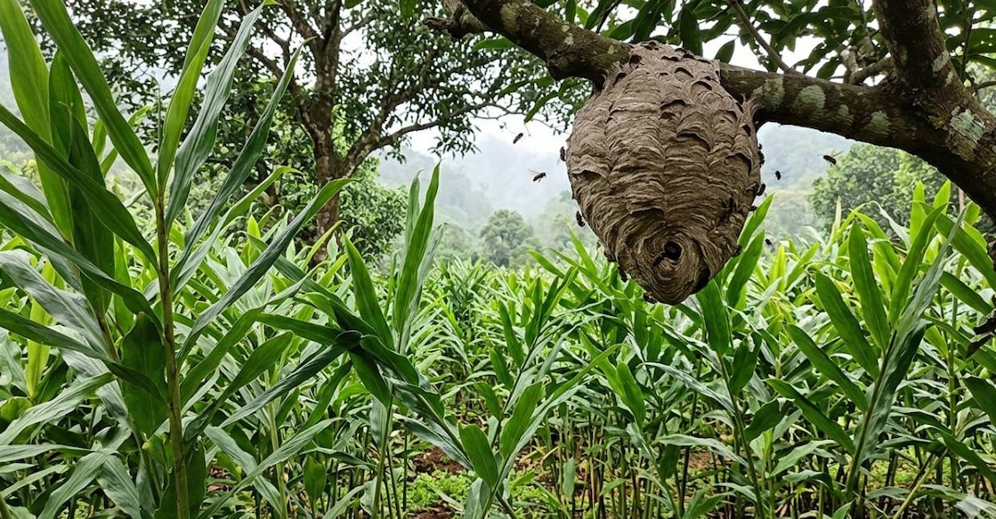 Ai generated representational image. 