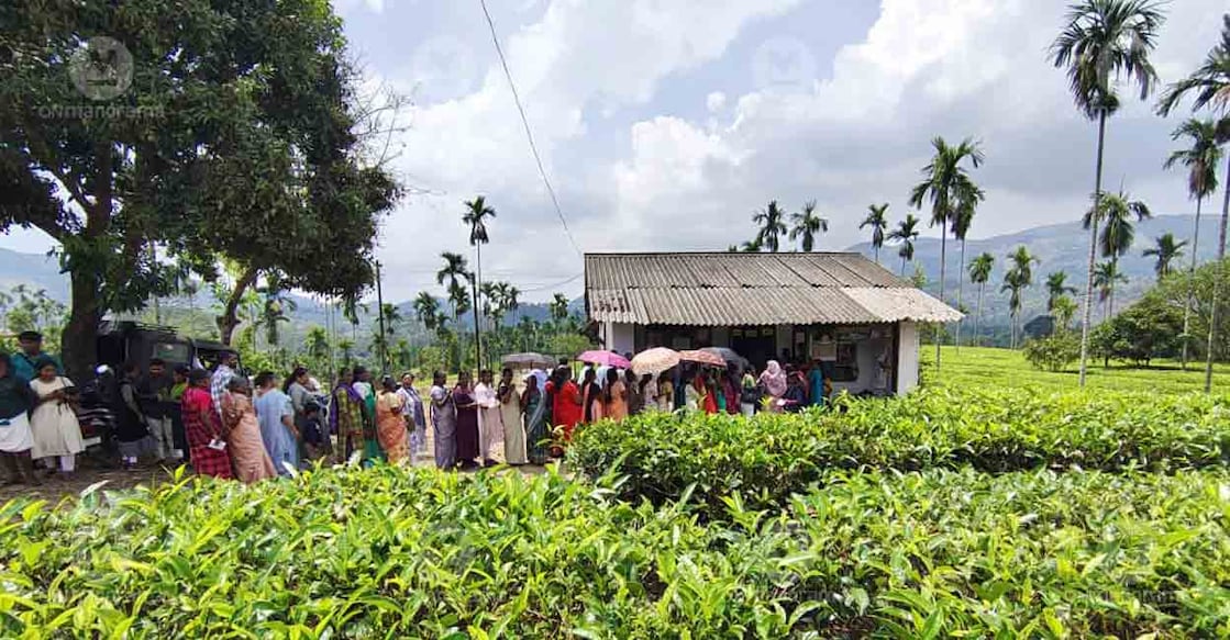 Polling booth in Karintharuvy Estate, K Chappath, Peerumedu constituency. Photo: Manorama
