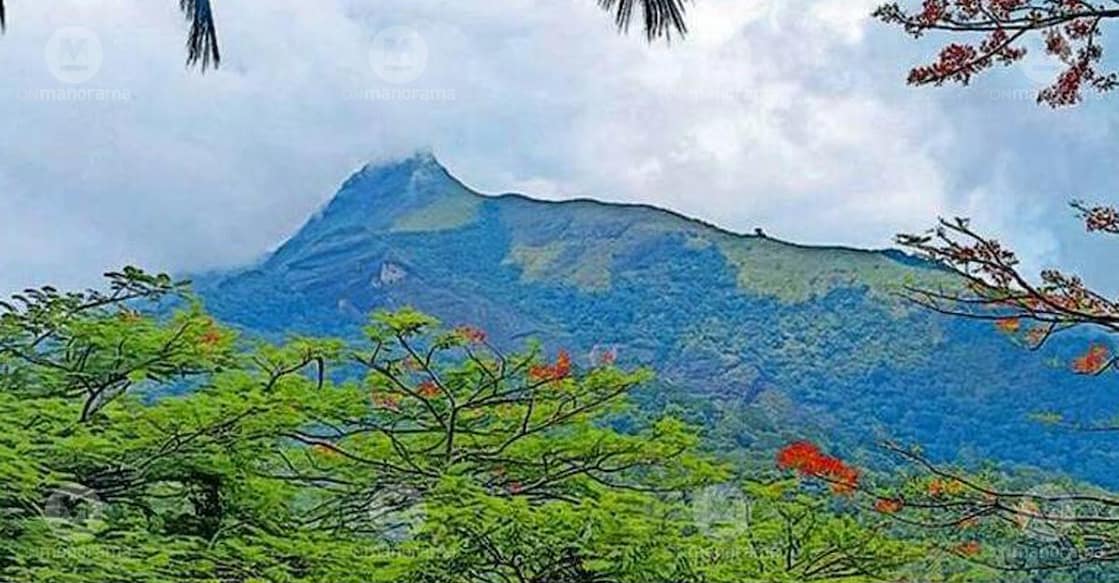 A view of the Western Ghats from the Brymore hilltop. Photo: Special arrangement