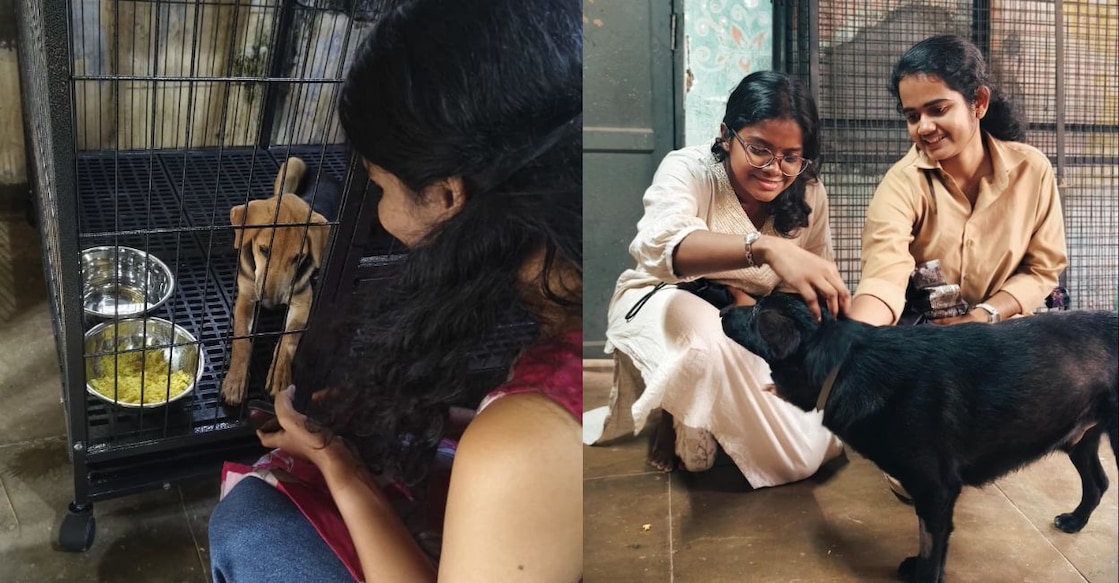 A student volunteer feeding a dog as part of the post-operative care provided by CAWA, students petting one of the dogs that reside on campus. Photo: Special Arrangement