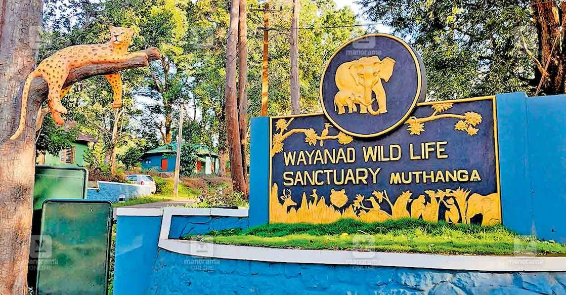 wayanad-wildlife-sanctuary