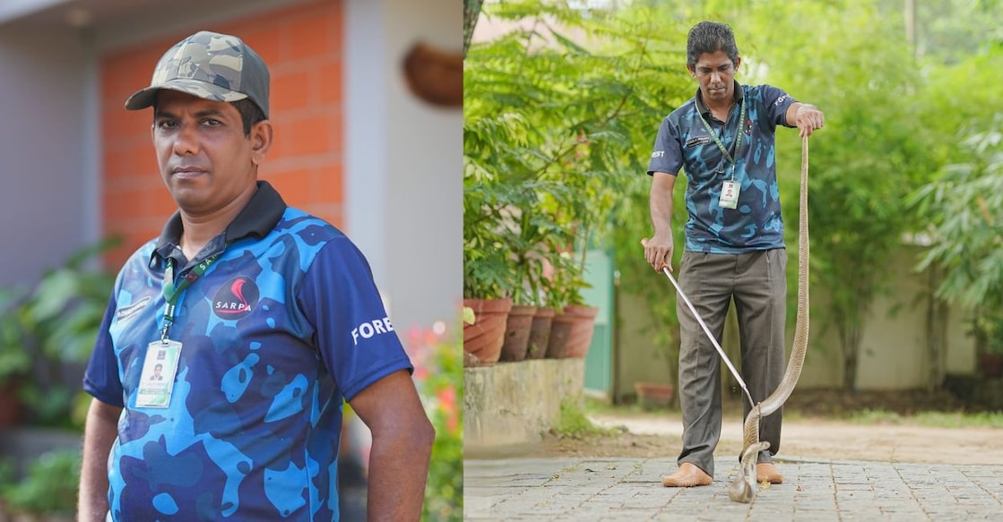 Pastor Charley Varghese (50), Varghese during a snake rescue operation. Photo: Special Arrangement