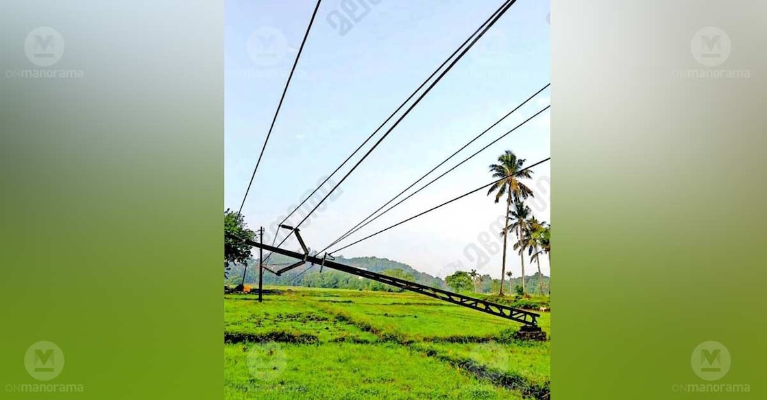 A damaged electric pole that collapsed in the Thimiri paddy fields. Photo: Special arrangement
