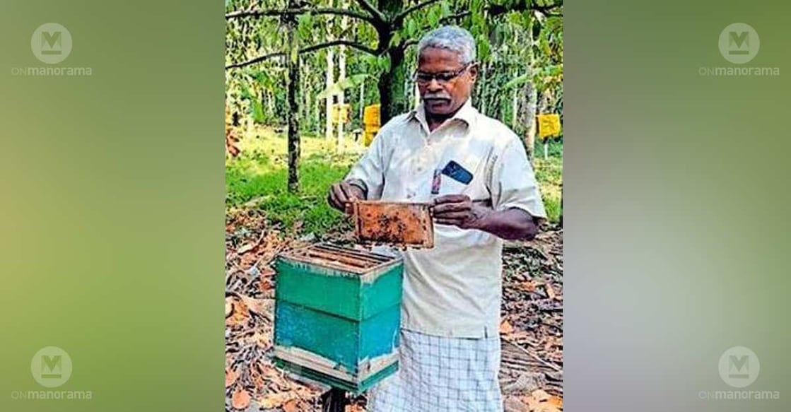 Mohandas of Kakkayam at his beekeeping farm. Photo: Special arrangement