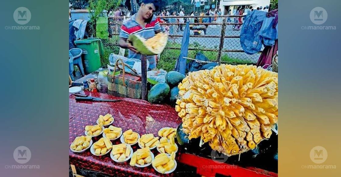 A vendor selling jackfruit near Brindavan in Mysuru. Numerous pushcarts and street stalls in the area are now selling jackfruit sourced from Wayanad. Photo: Special arrangement