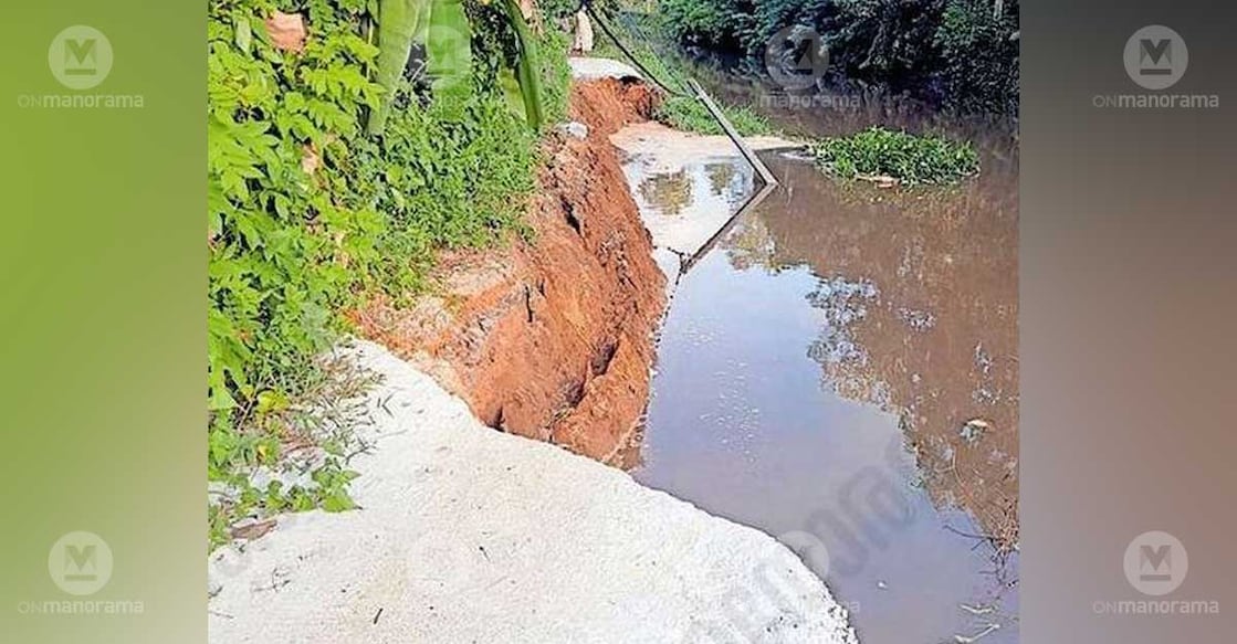 The concrete road leading west from Kaithathodu bridge in Ward 10 of Muttar panchayat after it collapsed into a canal. Photo: Special arrangement