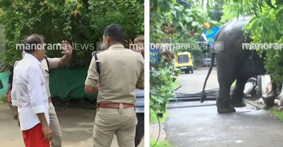 1. Police personnel at the scene, 2. The elephant that ran amok. Photo: Screengrab/Manorama News