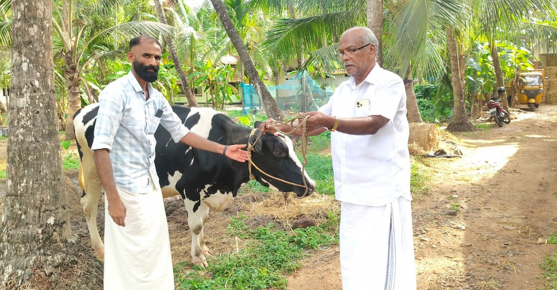 Kunnath Musthafa with the cow. Photo: Special Arrangement