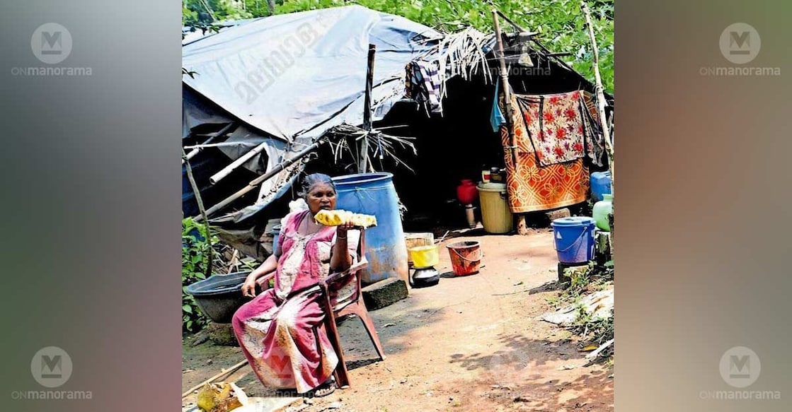 A tribal woman in front of her hut in the Maniyankinar tribal settlement. Photo: Special arrangement