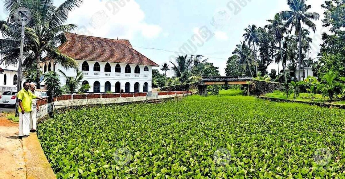 The Changanassery–Pallam canal remains choked with water hyacinth near St. George Knanaya Valiya Pally, Neelamperoor. Photo: Special arrangement