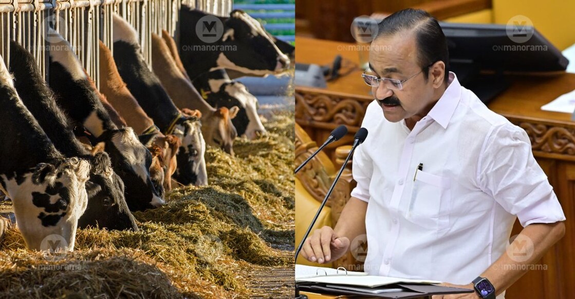 article-Image-h - satheesan-dairy