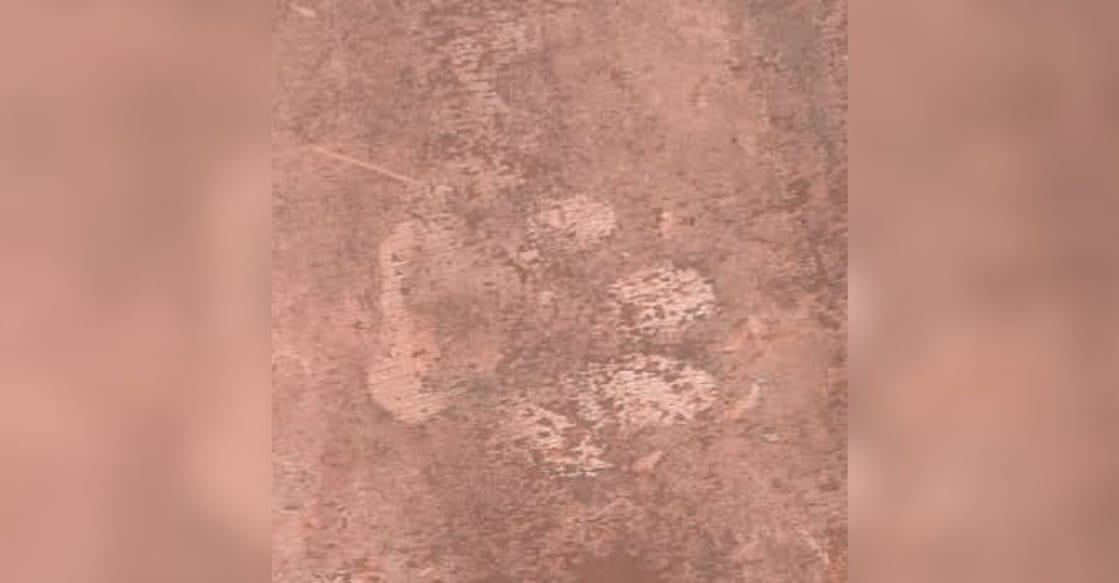The leopard paw prints discovered in Grampi. Photo: Special Arrangement