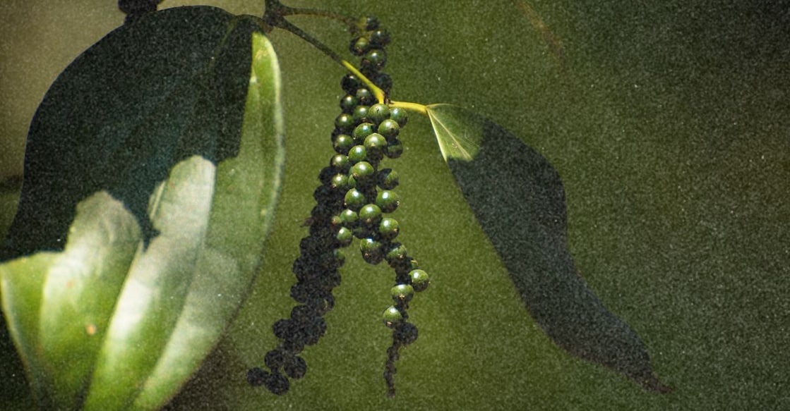 Representational image. Canva. 