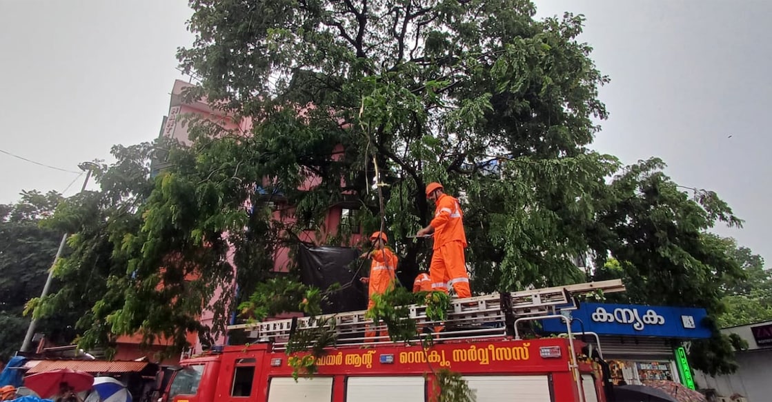 Fire and Rescue Services personnel remove fallen tree branches from SM Street in Kozhikode after strong winds and heavy rain disrupted the area. Photo: Special Arrangement