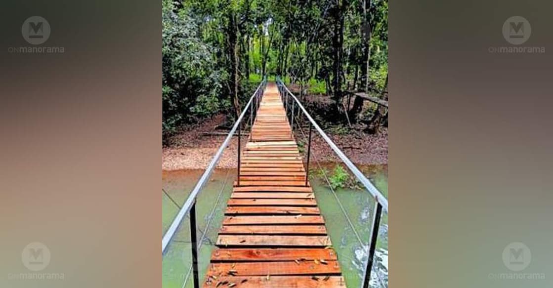 The new bridge was built using wooden planks and iron rods for a cost of ₹2 lakh. Photo: Special arrangement